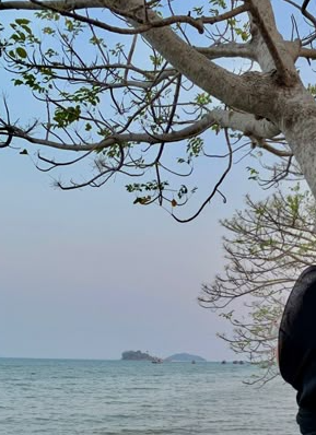 Foto Profil vitri