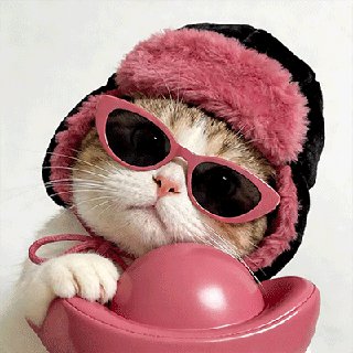 Foto Profil Marselina